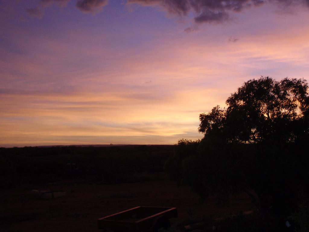 Ningaloo Bed And Breakfast Exmouth Exterior foto