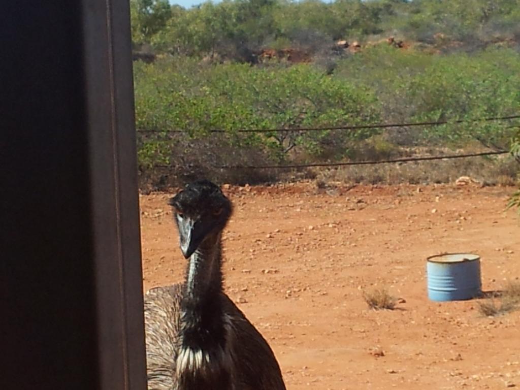 Ningaloo Bed And Breakfast Exmouth Exterior foto